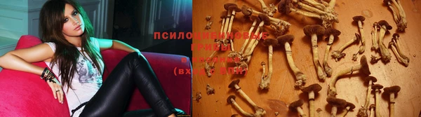 винт Сосновый Бор