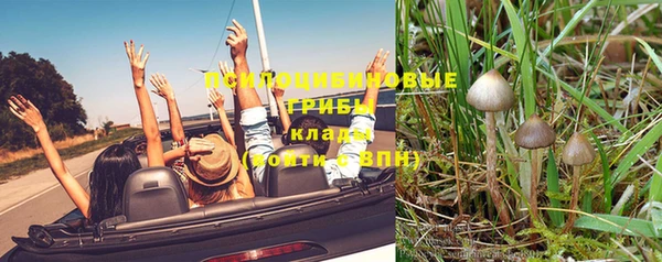 винт Сосновый Бор